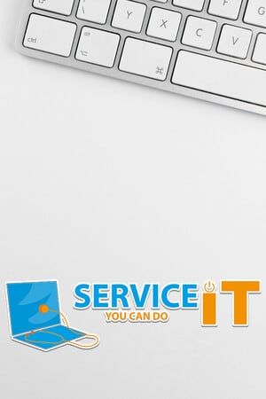 ServiceIT: You can do IT [Build 22420108] (2025) PC | RePack от FitGirl