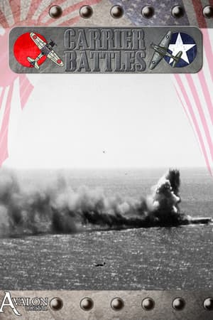 Carrier Battles 4 Guadalcanal [v 1.14.20] (2020) PC | Пиратка [Portable]