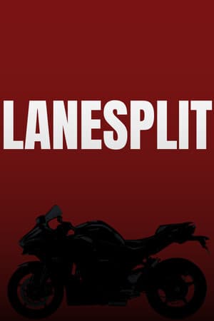 LANESPLIT [Build 22457197] (2026) PC | Пиратка