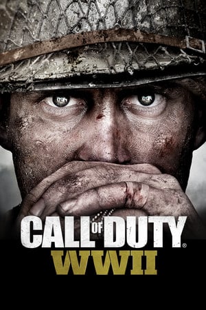 Call of Duty: WW2 [v 1.25.2244937 + DLC - Digital Deluxe Edition] (2017) PC
