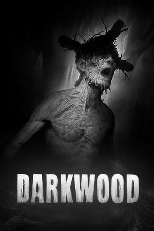 Darkwood [v 1.4.2 (70214) - Deluxe Edition] (2017) PC | Лицензия [GOG]