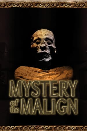 Mystery of the Malign [Build 20867123] (2025) PC