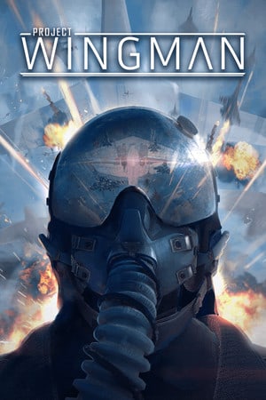 Project Wingman [v 2.1.1a (78697) + DLC] (2020) PC | Лицензия [GOG]