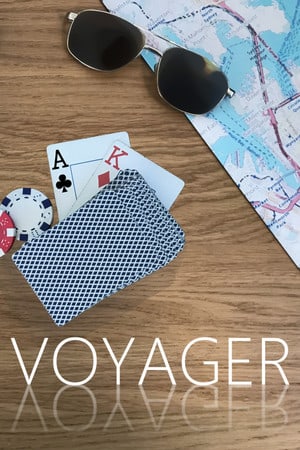 Voyager [Build 6992430] (2022) PC | RePack от FitGirl